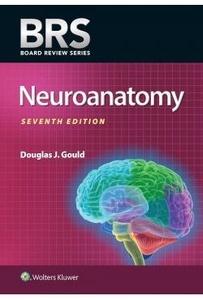 Brs Neuroanatomy