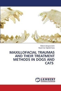 Maxillofacial Traumas And Their Treatment Methods In Dogs And Cats