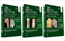 Musculoskeletal System Package Volume 6, (3 Vols.) "The NETTER Collection of Medical Illustrations"