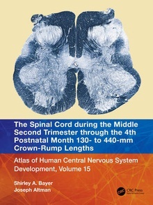 The Spinal Cord during the Middle Second Trimester through the 4th Postnatal Month 130- to 440-mm Crown-Rump Len Vol.15 "Atlas of Human Central Nervous System Development"